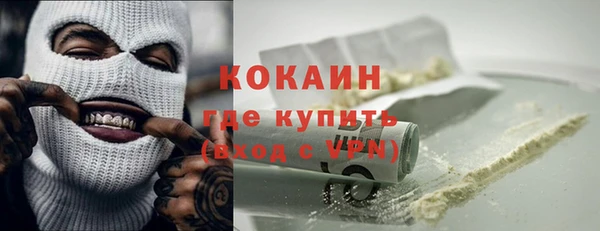 дживик Верхний Тагил