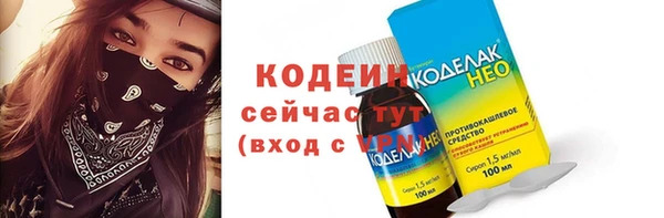 дживик Верхний Тагил
