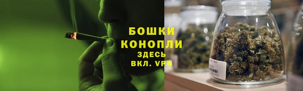 дживик Верхний Тагил
