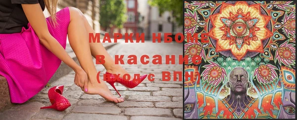 дживик Верхний Тагил