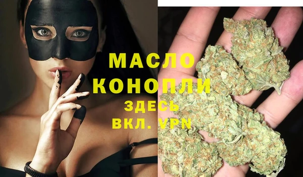 дживик Верхний Тагил
