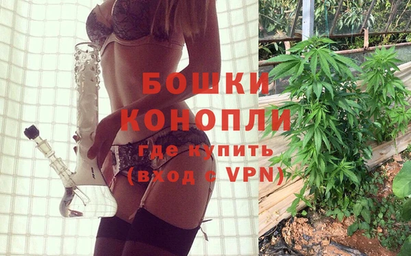 дживик Верхний Тагил