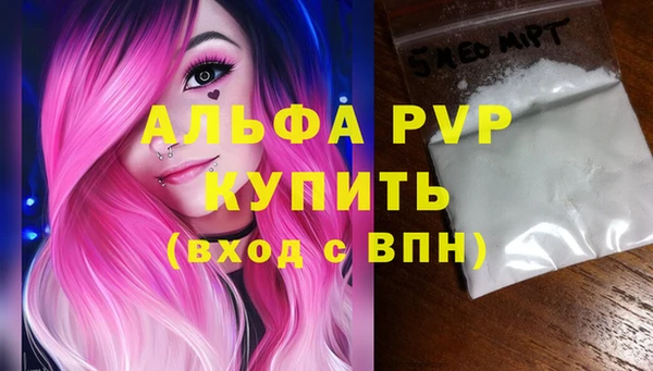 дживик Верхний Тагил