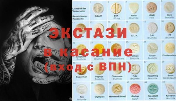дживик Верхний Тагил