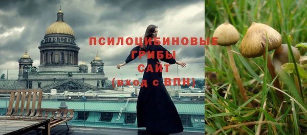 дживик Верхний Тагил
