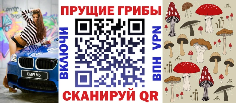 купить   Электрогорск  Галлюциногенные грибы мухоморы 