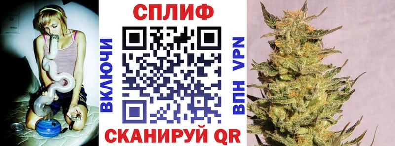 omg онион  Электрогорск  Бошки Шишки Ganja 